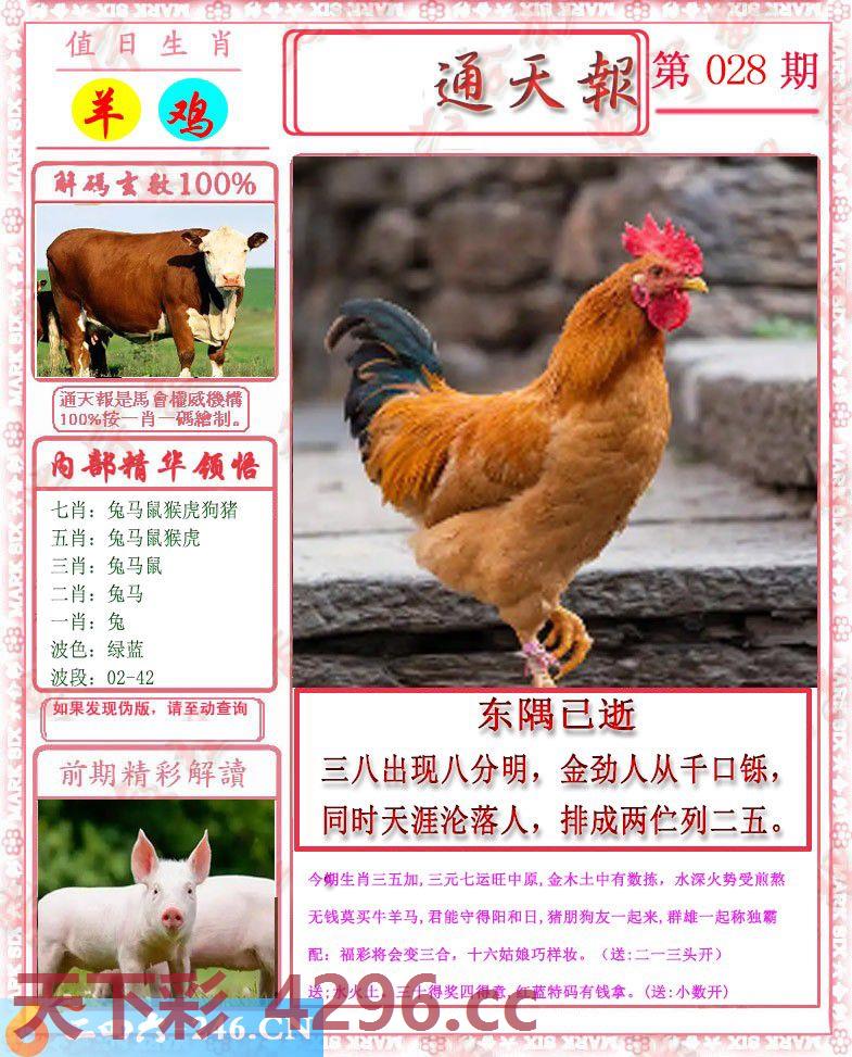 ：马经通天报